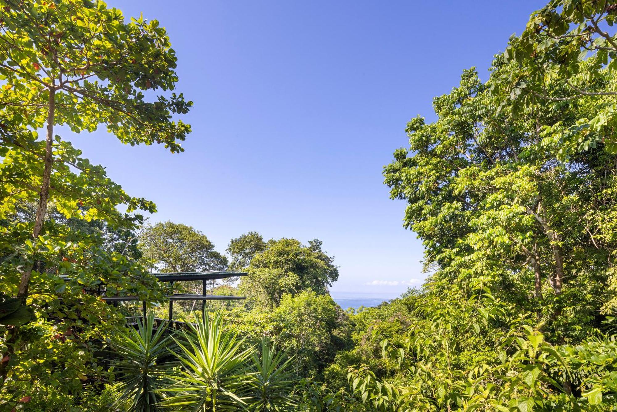 El Remanso Rainforest Lodge Puerto Jimenez Luaran gambar