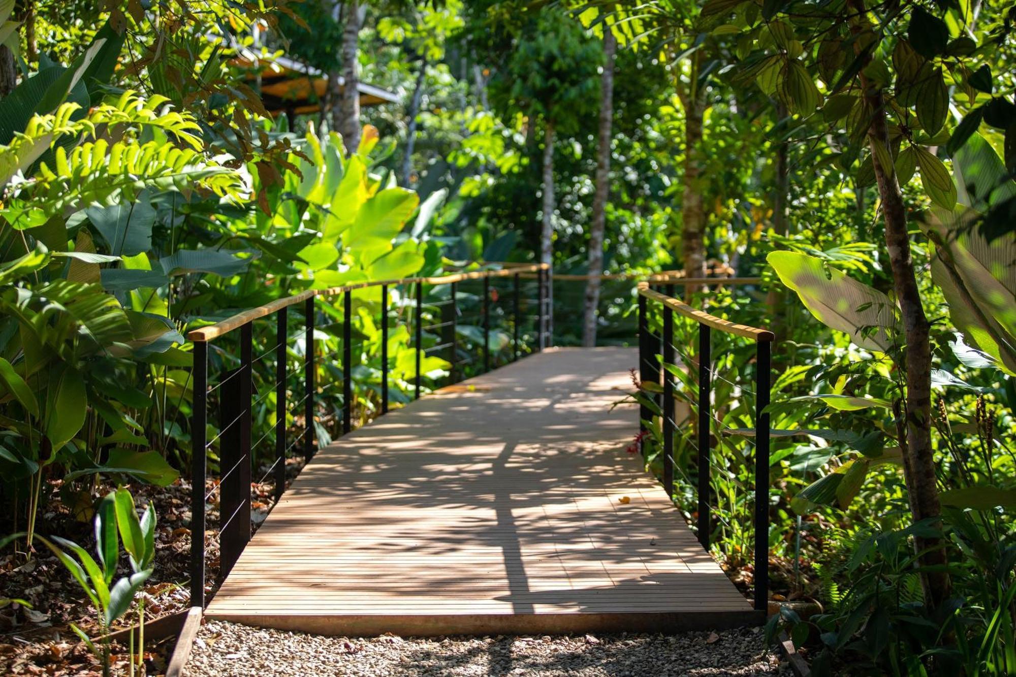 El Remanso Rainforest Lodge Puerto Jimenez Luaran gambar