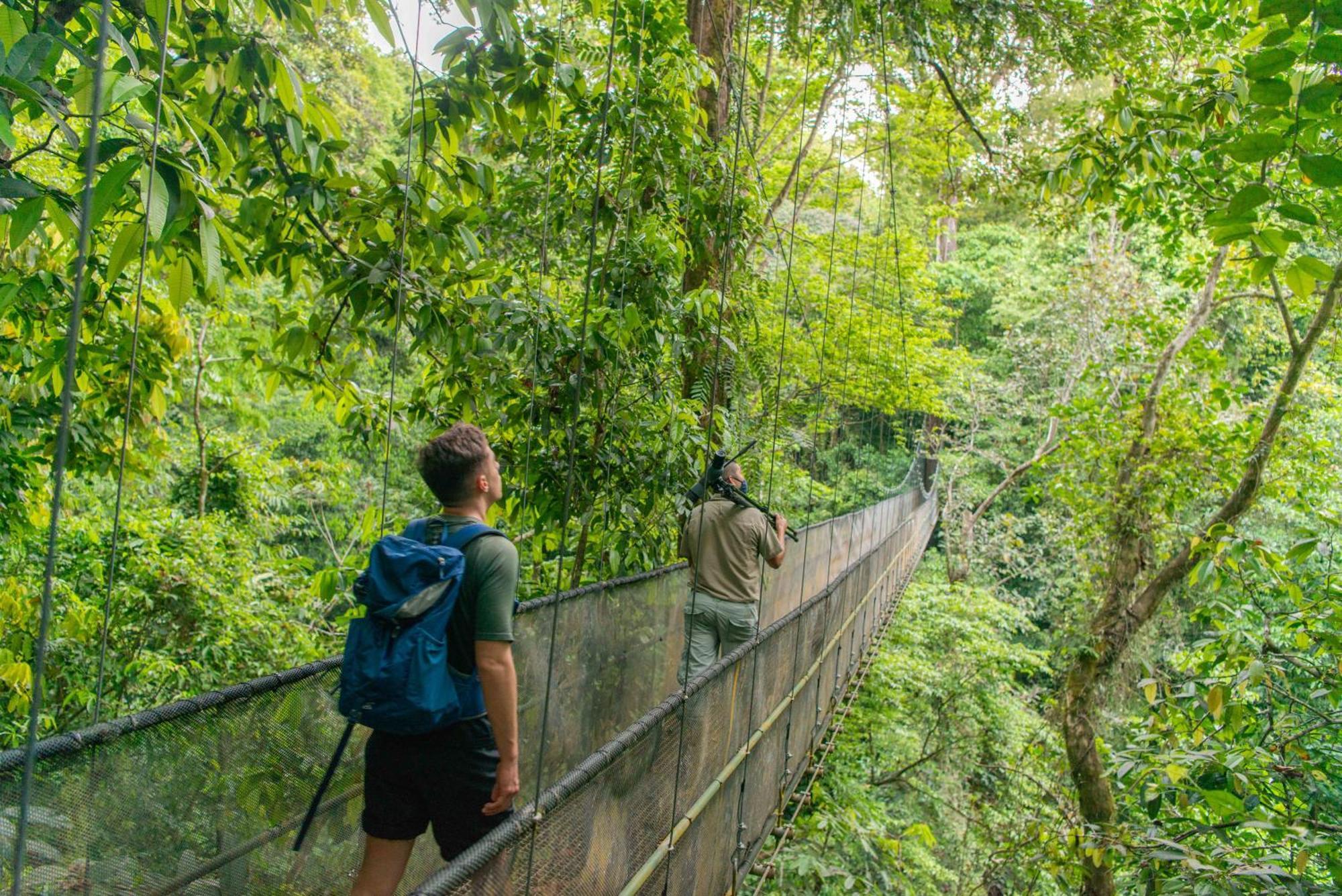 El Remanso Rainforest Lodge Puerto Jimenez Luaran gambar