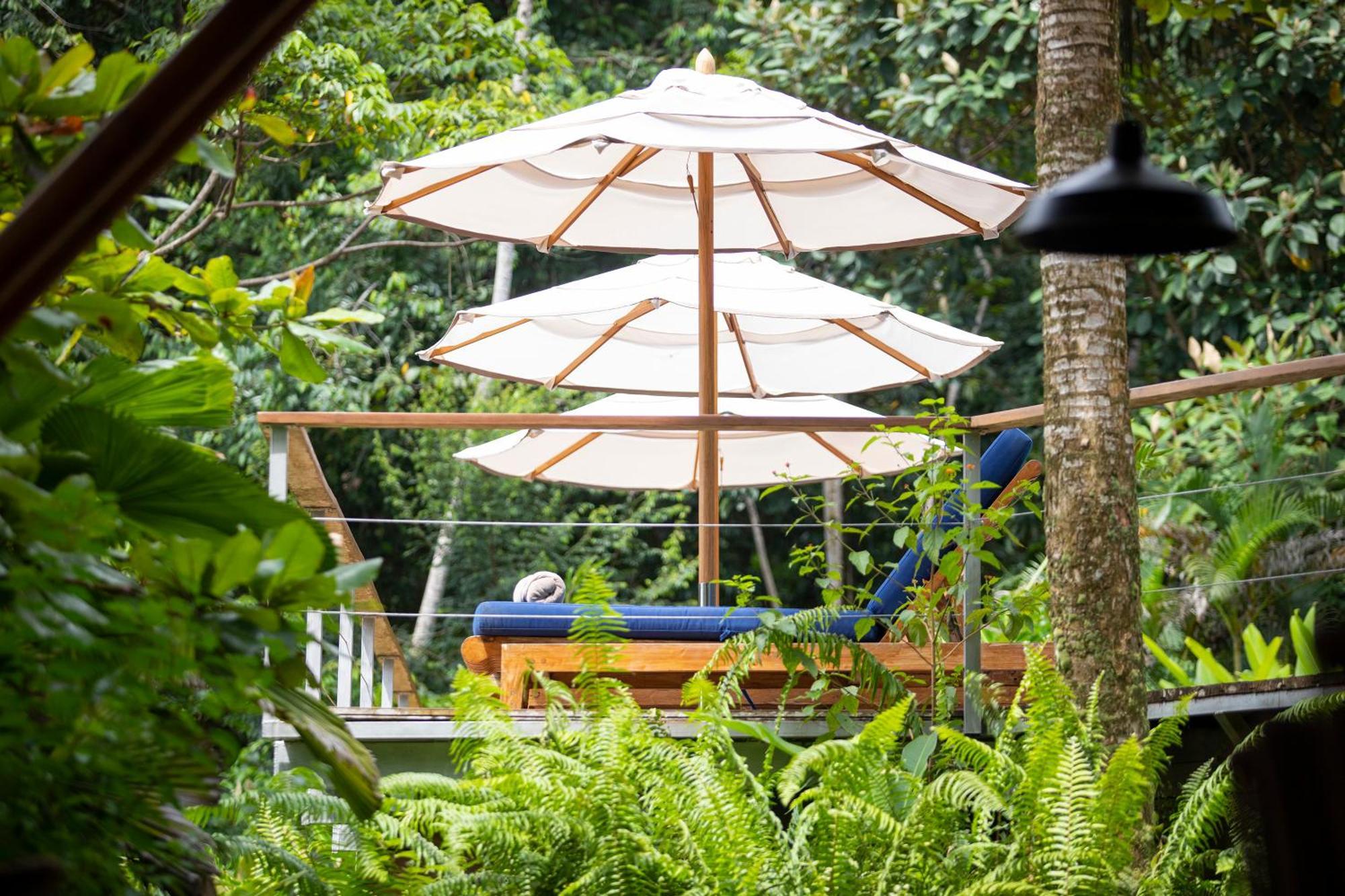 El Remanso Rainforest Lodge Puerto Jimenez Luaran gambar