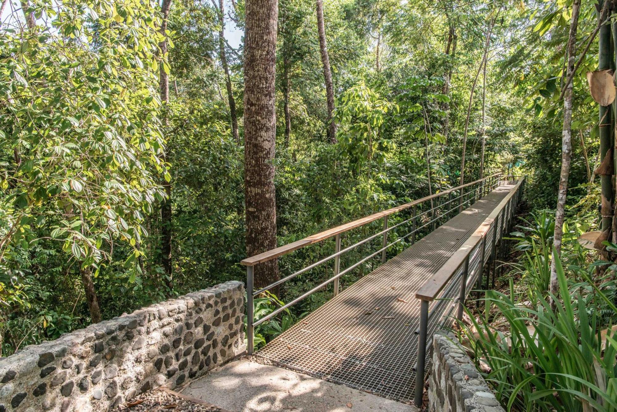 El Remanso Rainforest Lodge Puerto Jimenez Luaran gambar
