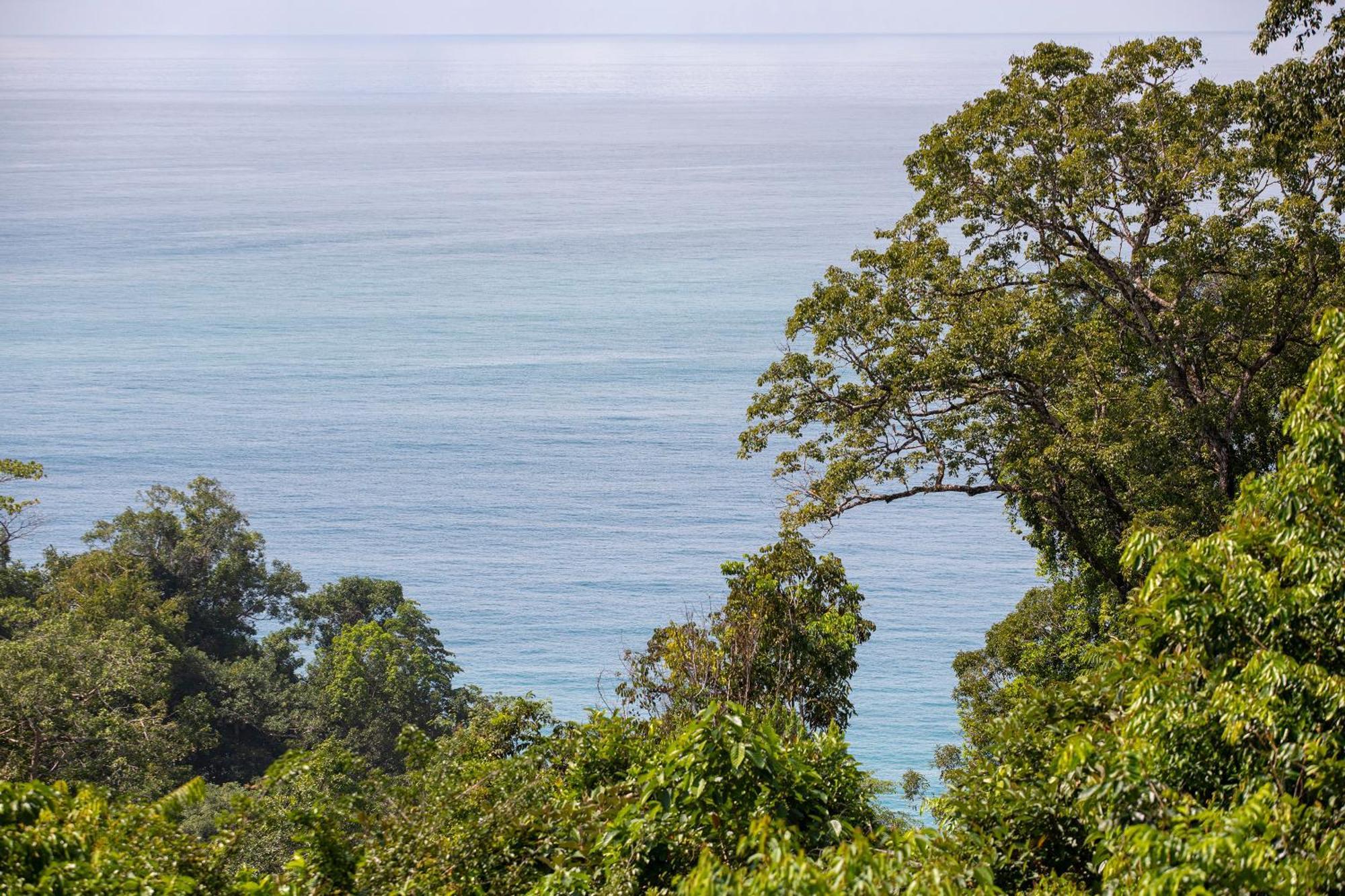 El Remanso Rainforest Lodge Puerto Jimenez Luaran gambar