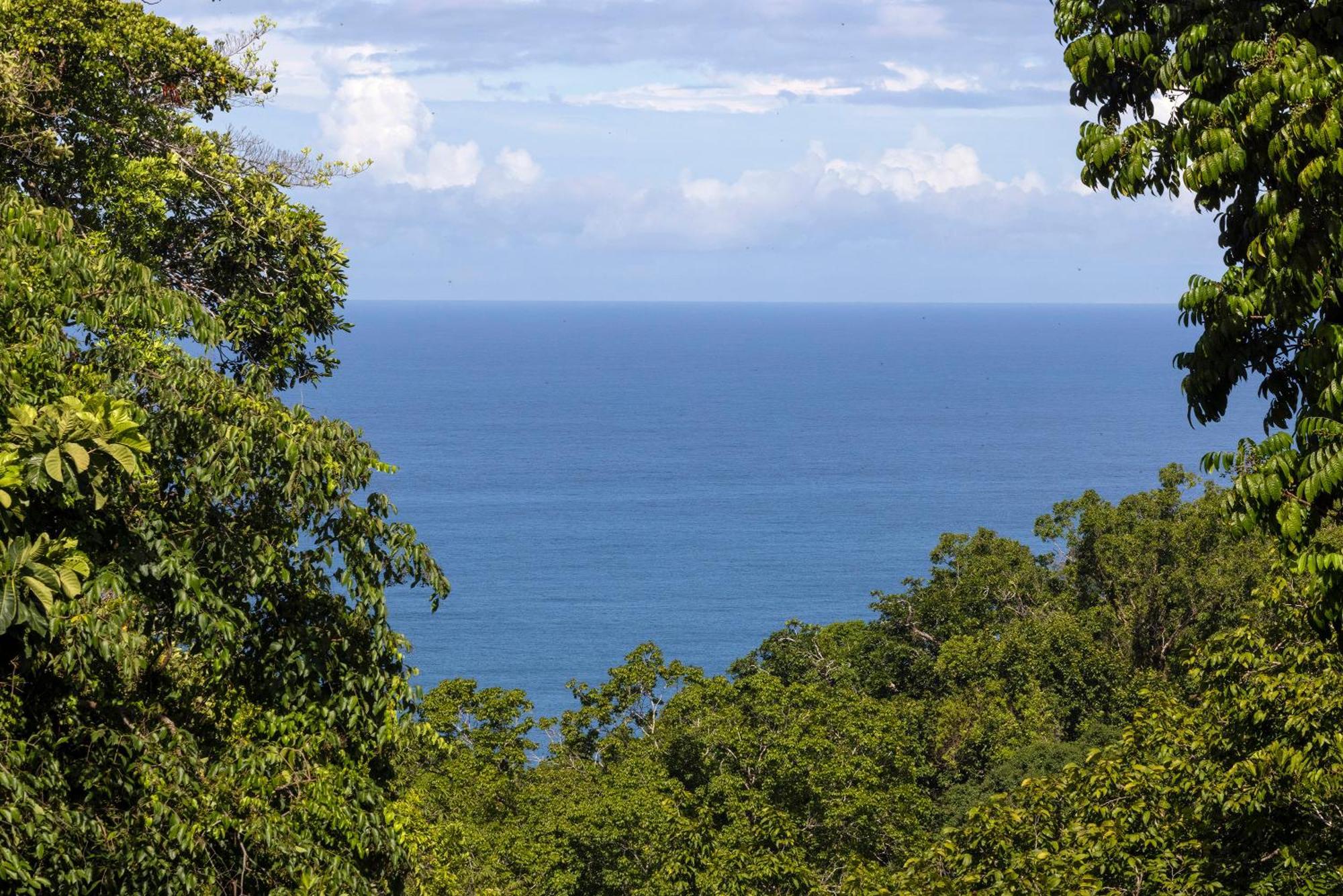 El Remanso Rainforest Lodge Puerto Jimenez Luaran gambar